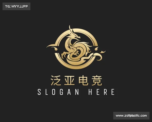 介绍&#x6cdb;&#x4e9a;&#x7535;&#x7ade;